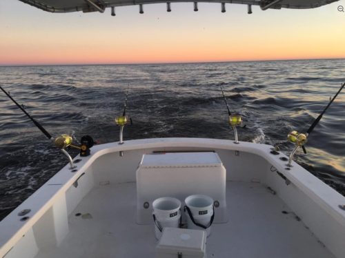 Offshore catch on the deck