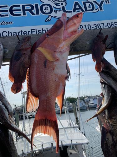 Trolling spread behind the boat