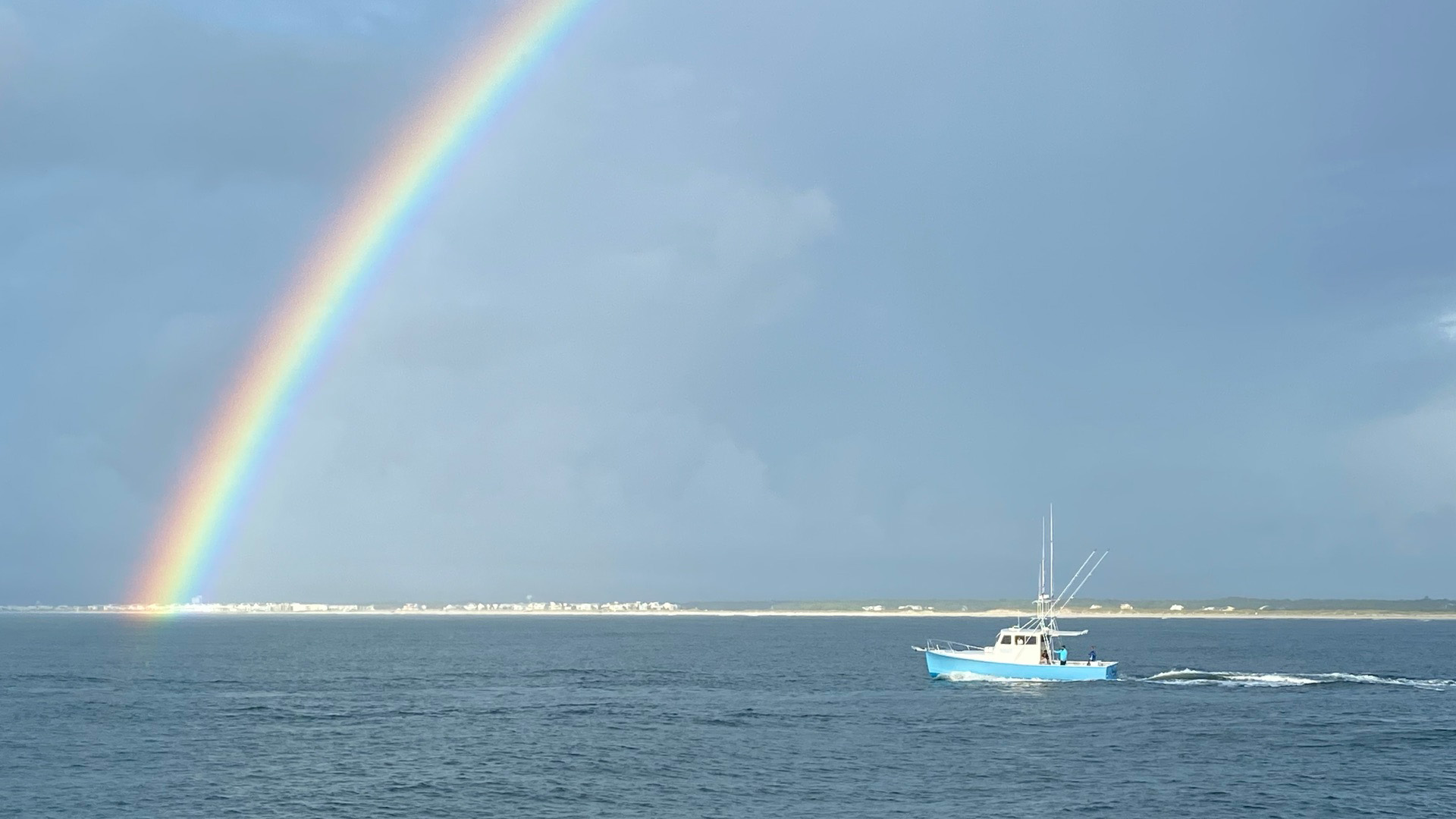 Amberjack caught on a three-quarter day charter